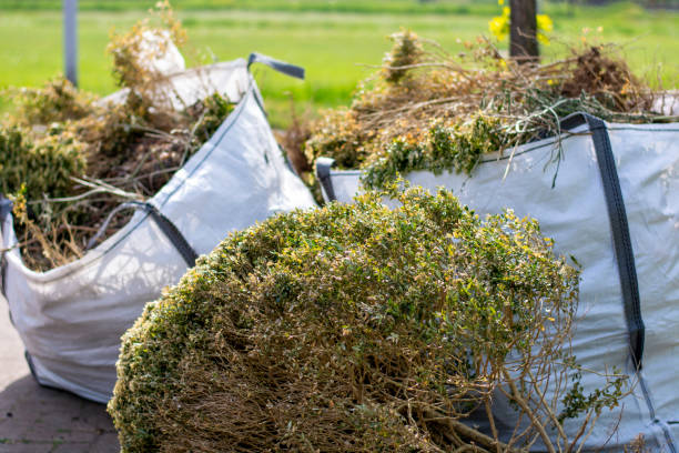 Best Basement Cleanout Services  in Taylorsville, UT